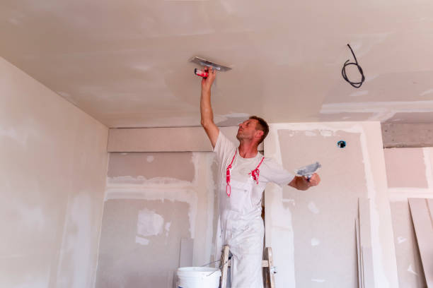 Best Ceiling Drywall Installation  in Indian Harbour Beach, FL